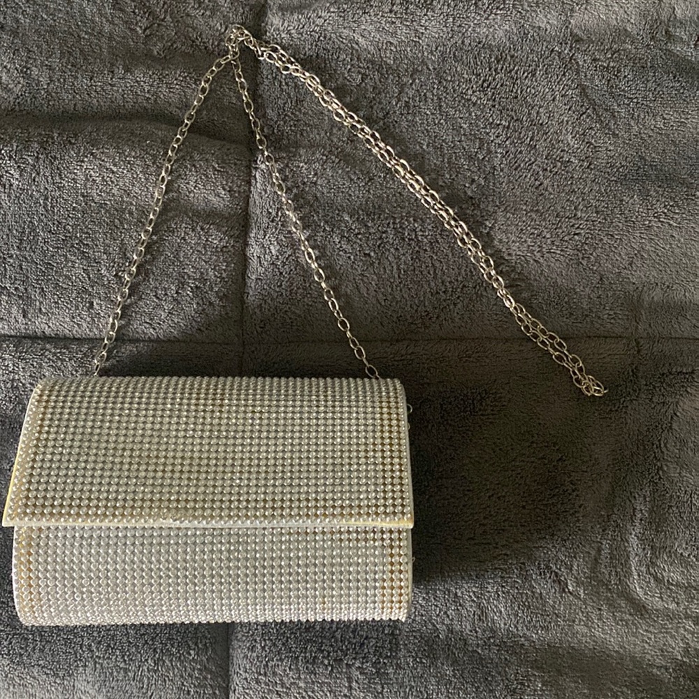 silver lulu townsend purse/clutch